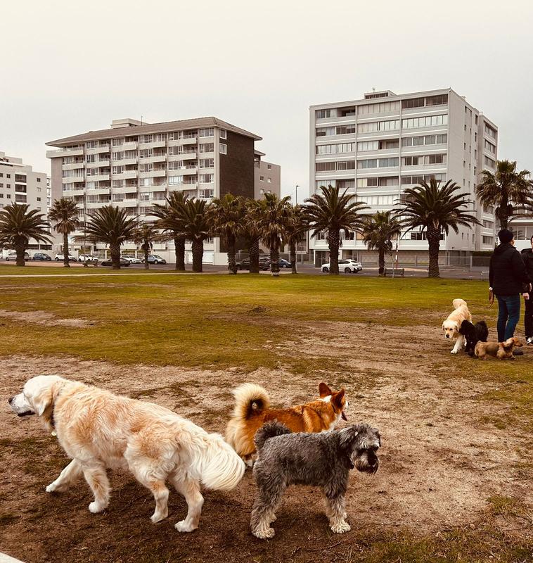 To Let 2 Bedroom Property for Rent in Mouille Point Western Cape